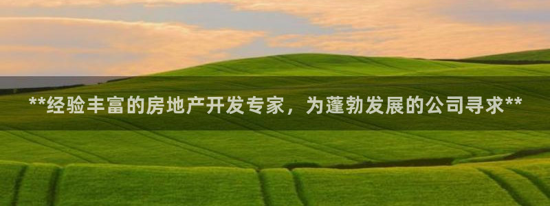万向娱乐王者荣耀