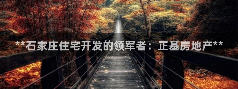 万向娱乐平台代理怎么做