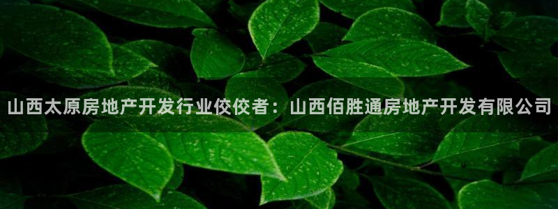 万象国际娱乐网址
