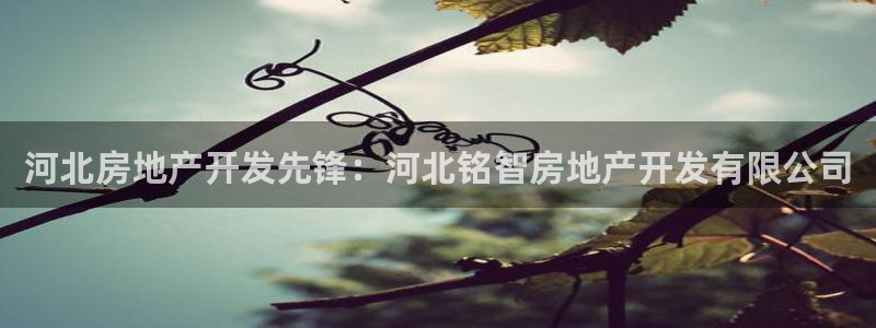 万向娱乐平台代理怎么做赚钱