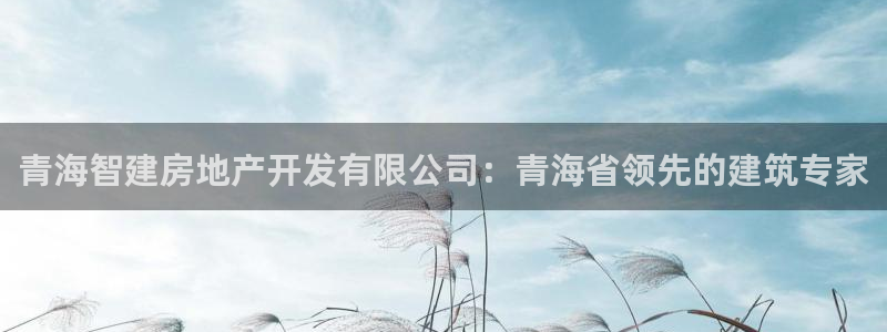 万向娱乐平台代理多少钱