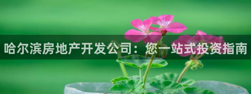 万向娱乐老板