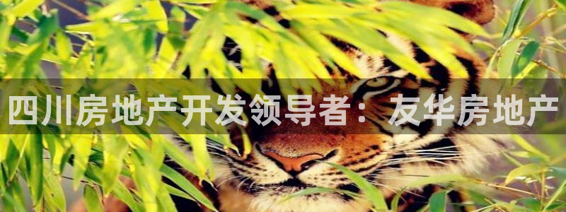 万向娱乐app下载