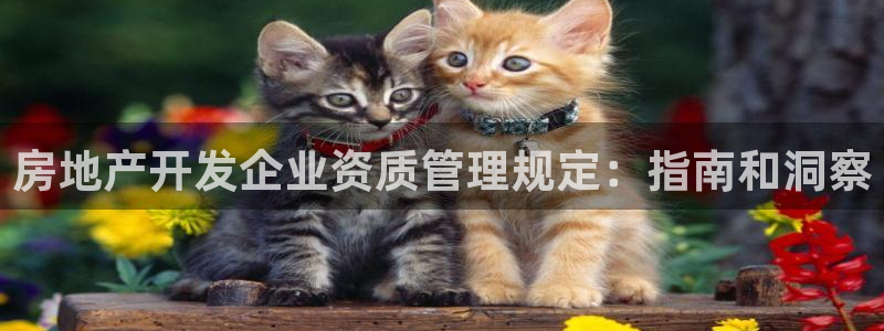 万向娱乐官网下载安装手机版