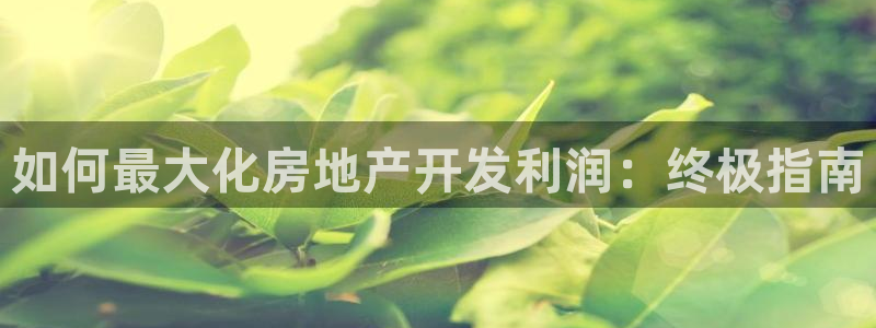 万向娱乐的494o3 主管