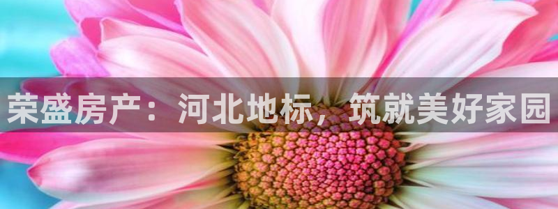 万向娱乐登陆官网入口