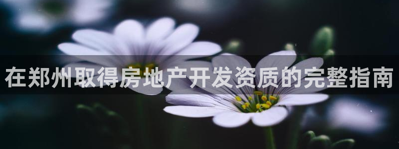 万向娱乐公司官网