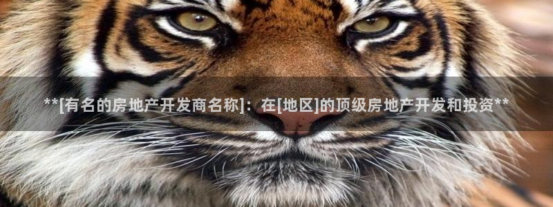 万向娱乐平台代理多少钱一年