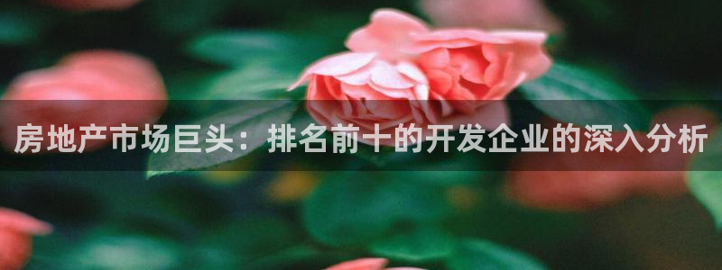 万向娱乐平台代理多少钱一个
