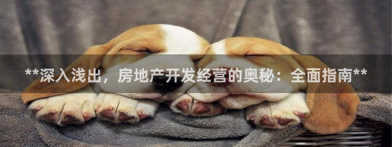 万向娱乐官网下载安装手机版