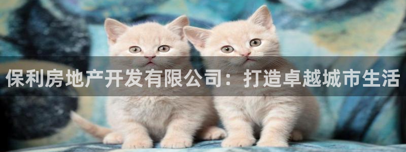 万向娱乐公司 585.34I 娱乐