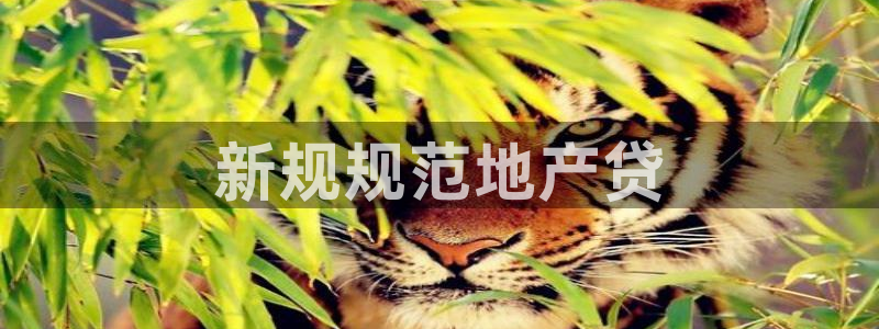 万向娱乐公司 585.34I 娱乐