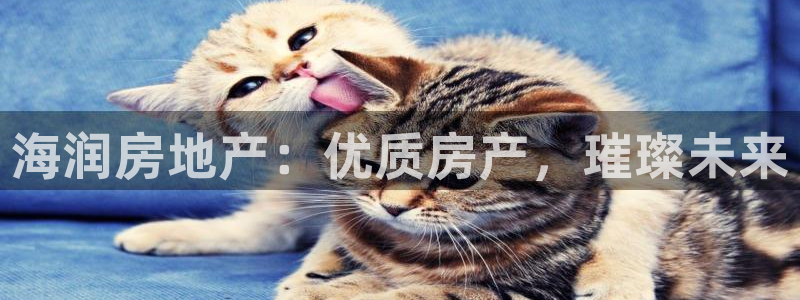 万向娱乐app下载