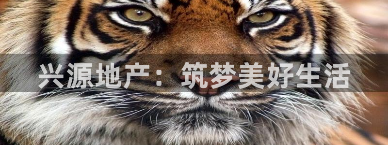 万向娱乐技术分享