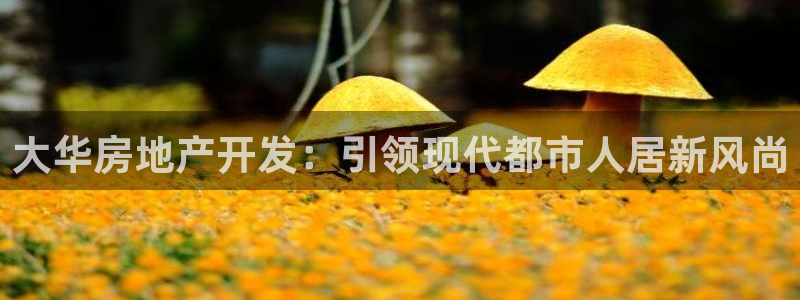 万向娱乐平台下载安装
