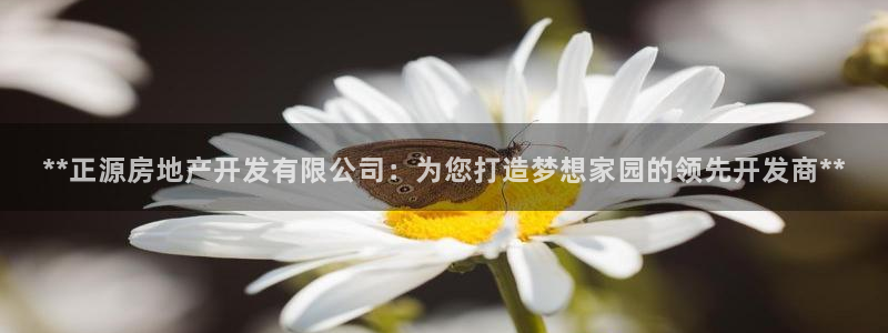 万向娱乐挂机