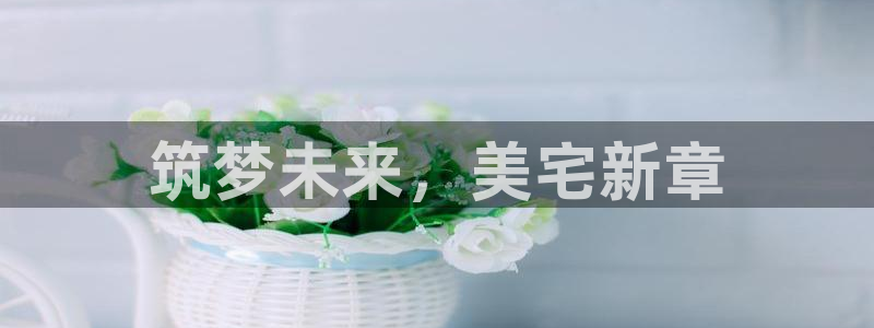 万向娱乐挂机软件