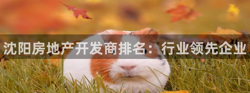 万象国际娱乐网址