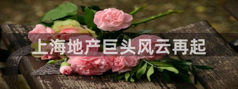 万向娱乐的联系方式是什么