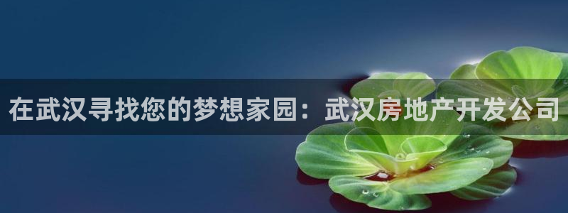 万向娱乐平台代理多少钱一个月