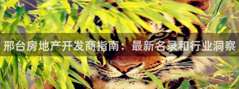 万向娱乐app
