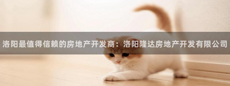 万向娱乐总代