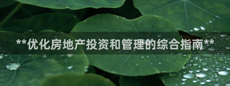 万向娱乐挂机