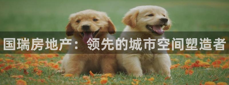 万向娱乐官网网址是什么