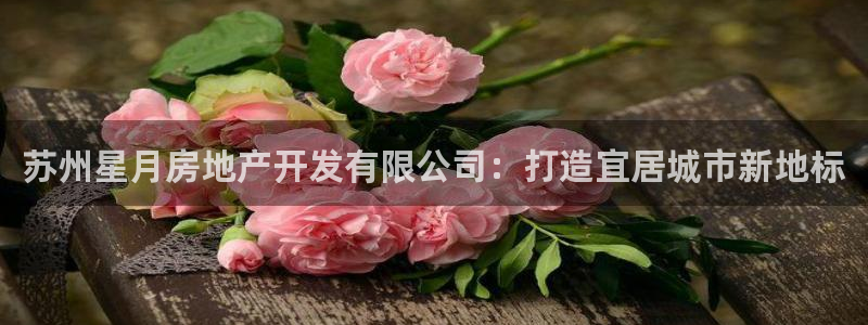 万向娱乐灯333OO
