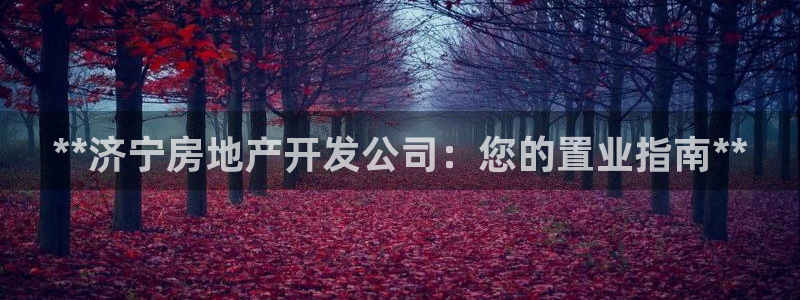 万向娱乐总代