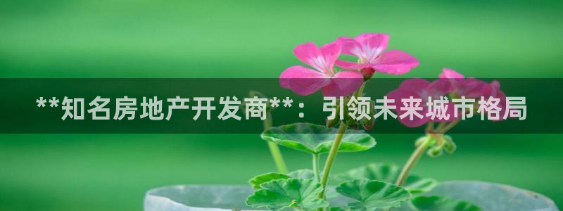 万向娱乐挂机软件