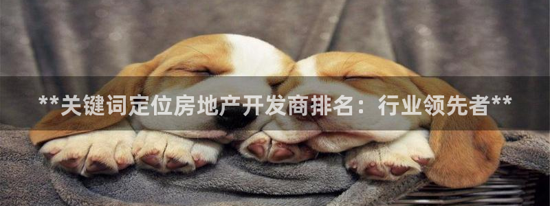 万能娱乐平台直招代理