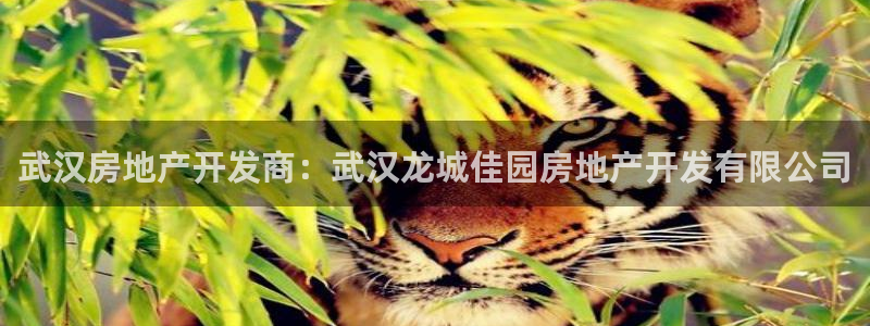 万向娱乐的联系方式有哪些