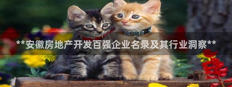 万向娱乐登陆官网下载