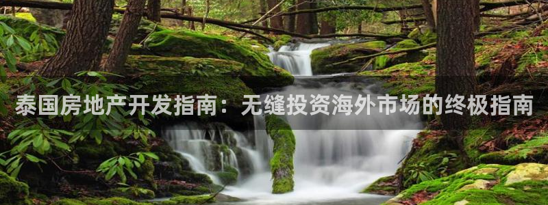 万向娱乐平台代理怎么样可靠吗