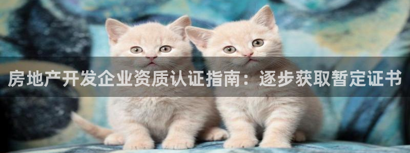 万向娱乐平台代理多少钱
