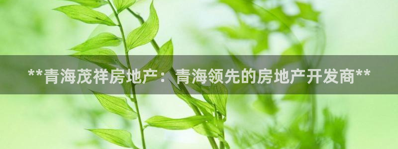 万向娱乐登陆官网