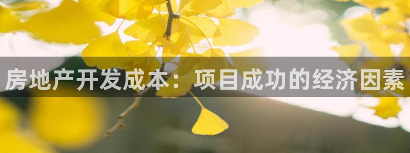 万向娱乐老板