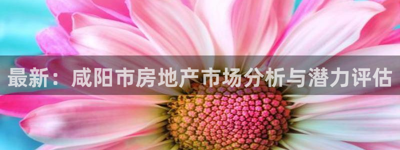 万向娱乐官网网址是什么