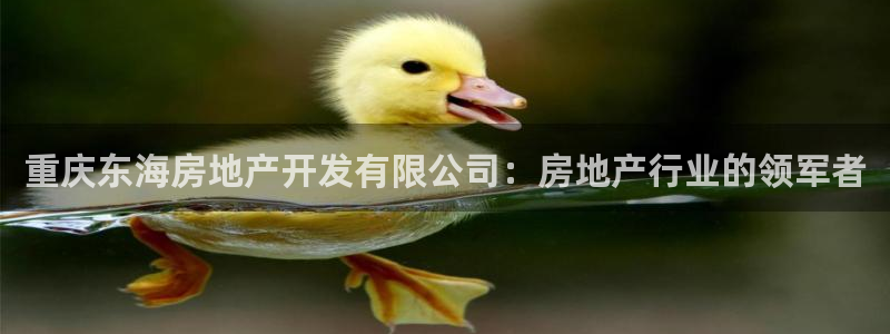 万向娱乐挂机软件