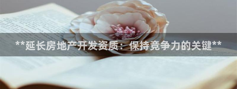 万向娱乐老板