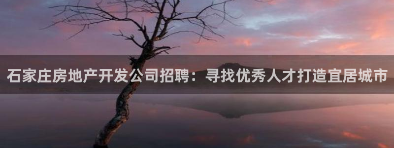 万向娱乐灯333OO