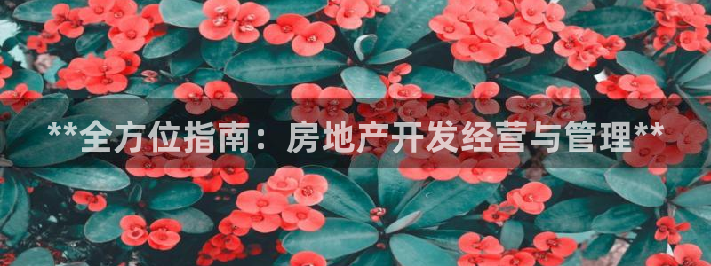 万向娱乐技术分享
