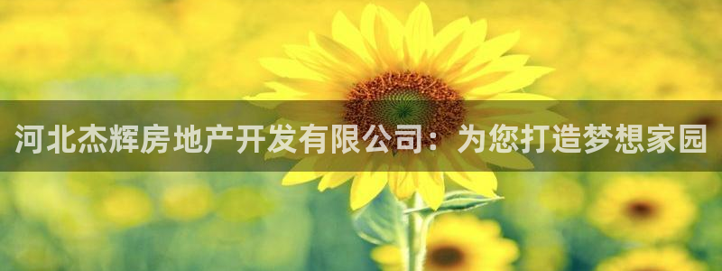 万向娱乐官网下载安卓
