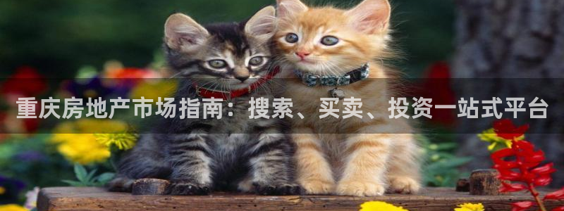 万向娱乐平台下载安装手机版