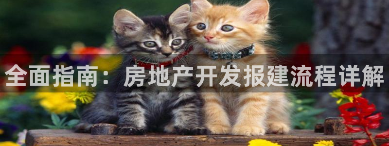 万向娱乐挂机软件