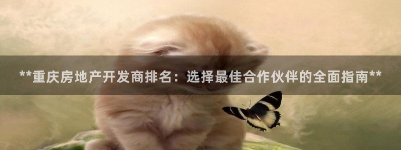 万向娱乐招商