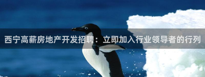 万向娱乐王者荣耀
