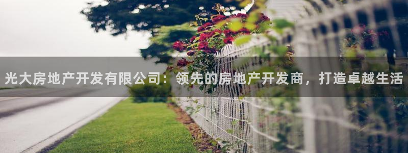 万向娱乐是野鸡台吗