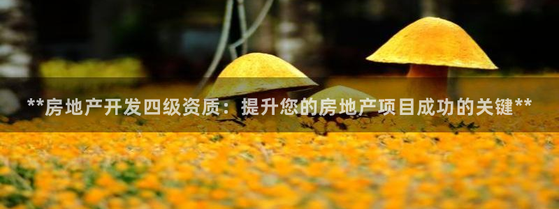 万向娱乐平台代理怎么样可靠吗
